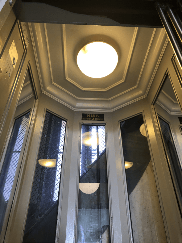 Korgrenovering Ek – bild 1 av 9